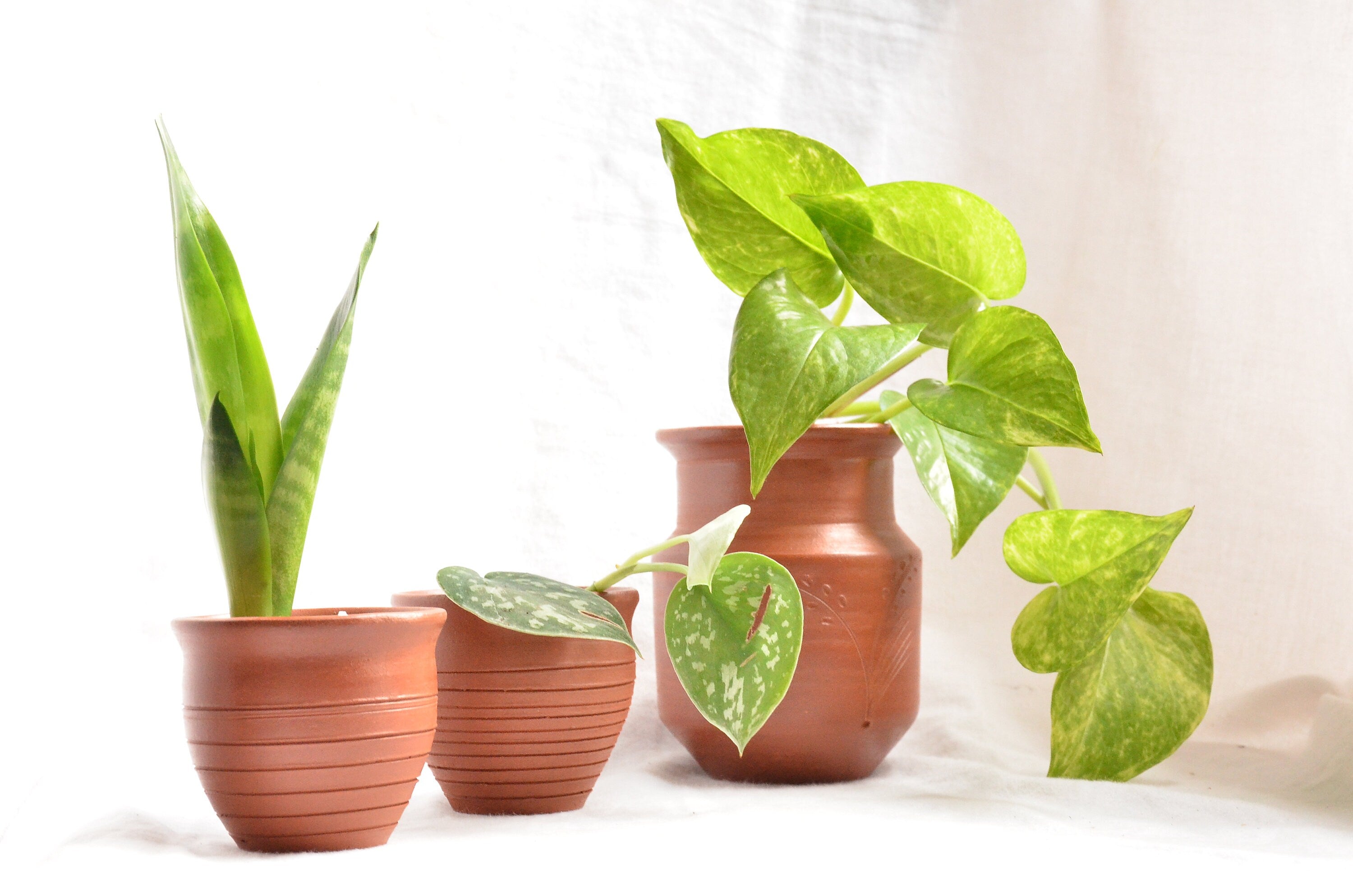 Handmade Terracotta Vase