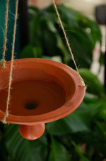 Terracotta Planter