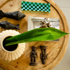 Matsya - Black Terracotta Fish Pair
