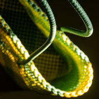 Lemon Sherbet - Large, Reusable Tote