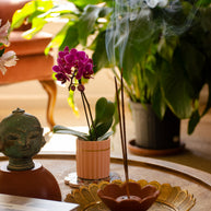 Tamarai Handmade Gift Bundle