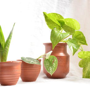 Handmade Terracotta Vase