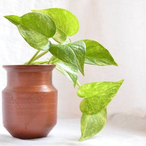 Handmade Terracotta Vase