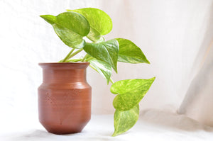 Handmade Terra-cotta vase, herb planter, Housewarming gift, Unique pottery, Hostess gift, wedding centerpiece