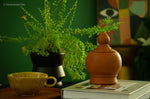 Alicia Handmade Terracotta Salt Jar.