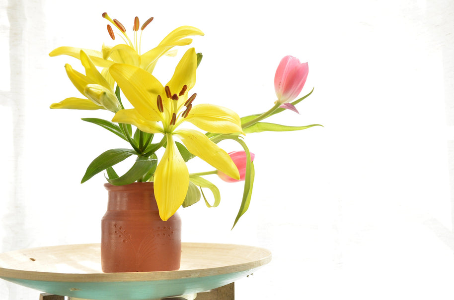 Handmade Terracotta Vase
