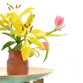 Handmade Terracotta Vase